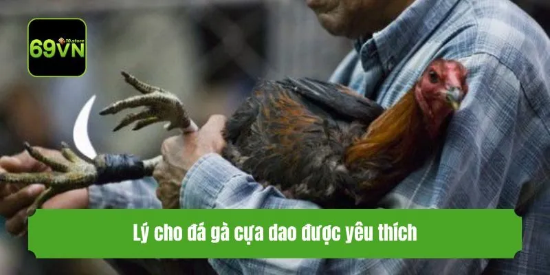 Lý cho đá gà cựa dao được yêu thích